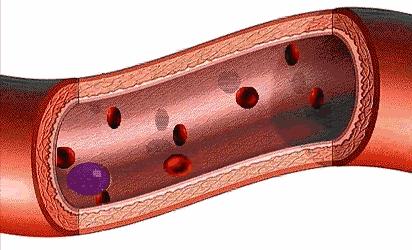 注意力不集中跑步有用吗,平时不做功临时抱佛脚