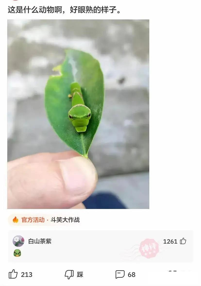 老婆不知去哪买的这衣服，刚进家门就给我吓了一身汗，好尴尬