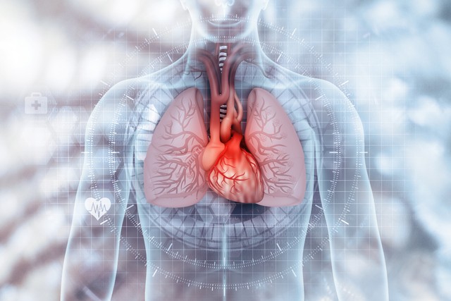 疏风宣肺清热解毒的药有哪些,疏风宣肺清热解毒的中成药有哪些