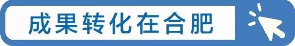 看！这些“种子”在合肥茁壮成长