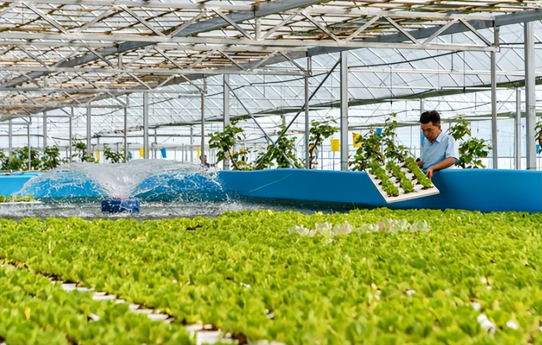 双汇发展预制菜进货渠道,双汇预制菜能破局吗