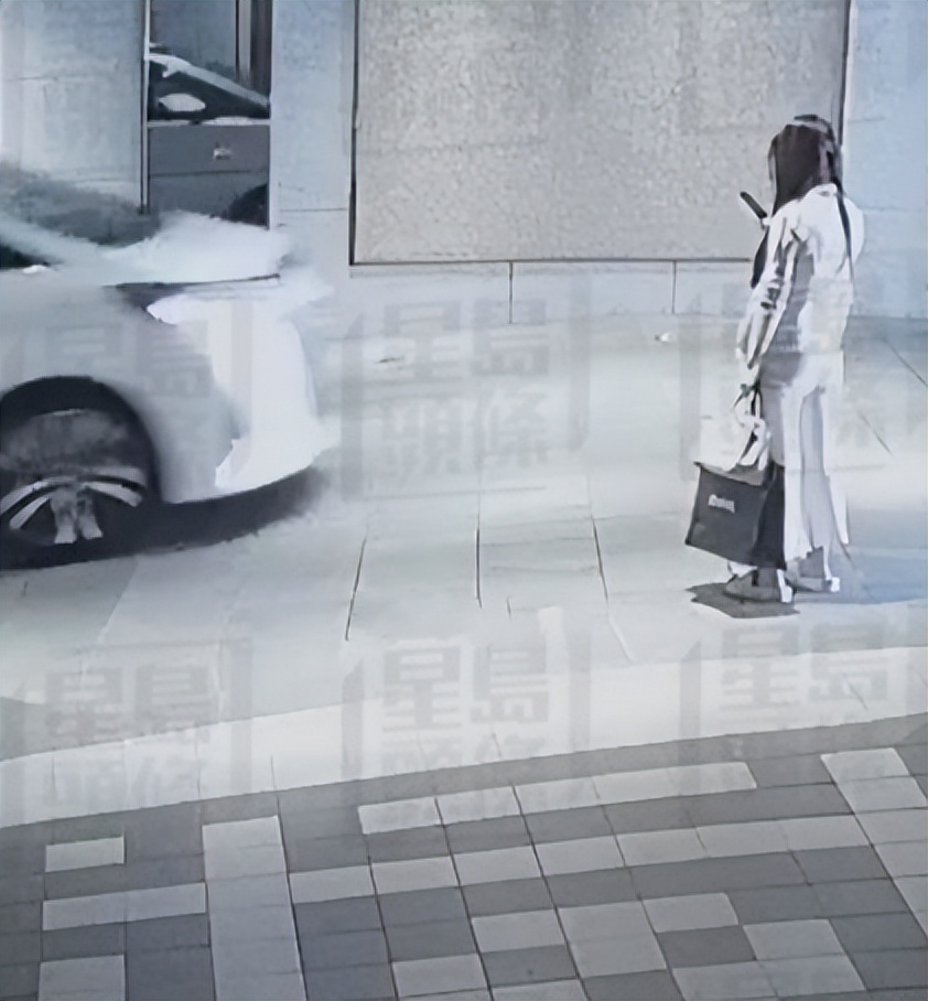 蔡天凤妈妈正面照曝光,蔡天凤与明星合照