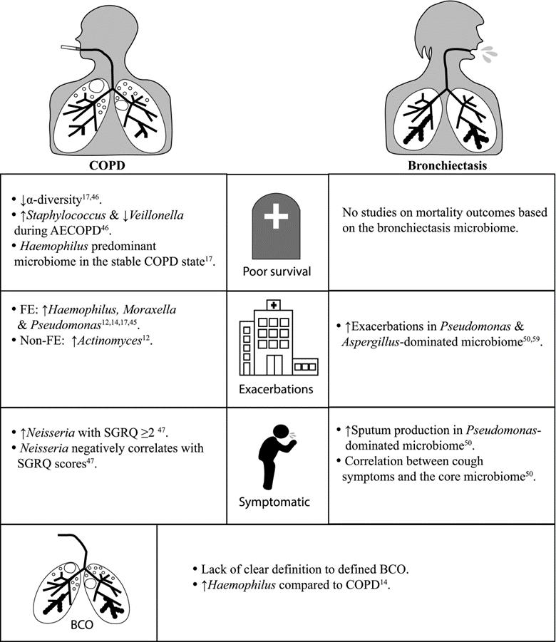 周敏教授：慢阻肺病、支扩及慢阻肺支扩重叠综合征气道微生物研究