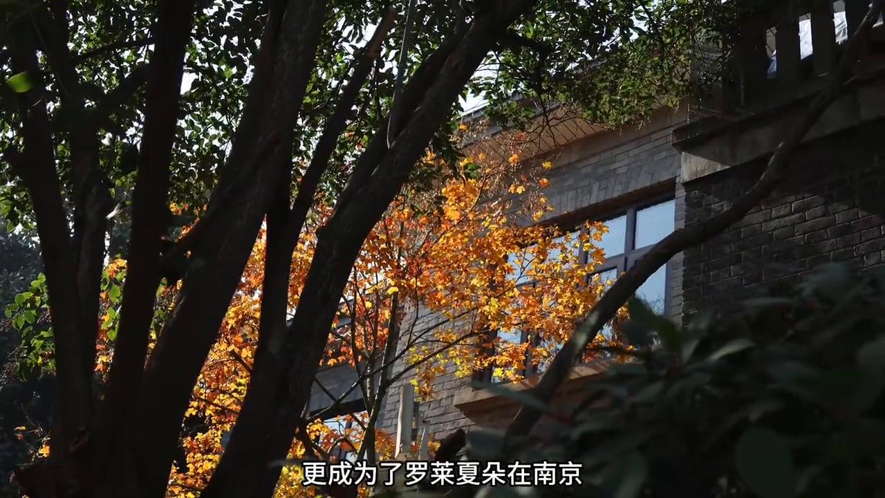 金陵城原来的样子,此时此刻的南京城