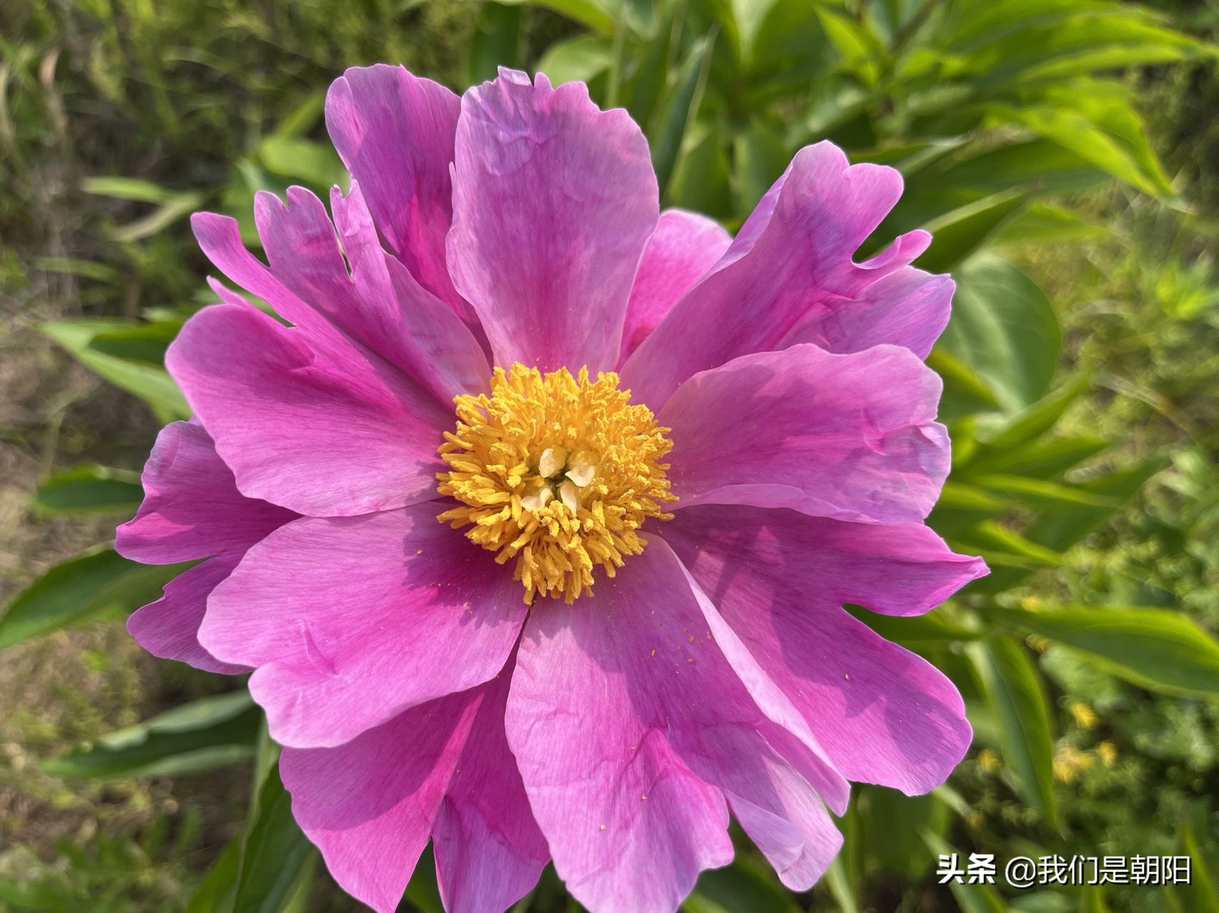 九嶷河国家湿地公园在哪里,九嶷河湿地公园