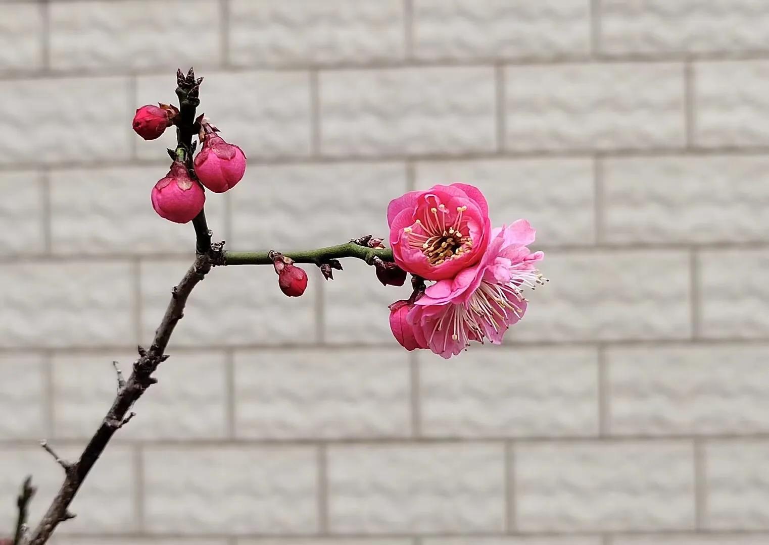 学生在课堂上起冲突的情景,学生课上吵架怎么解决