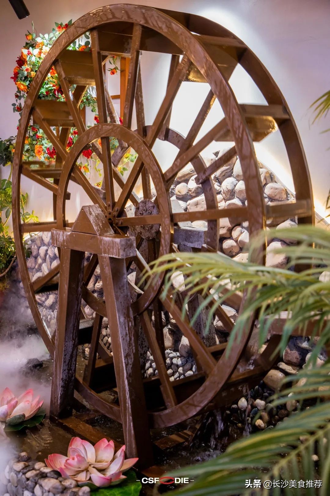 空运整座“小云南”，叶芭蕉春夏限定上新啦