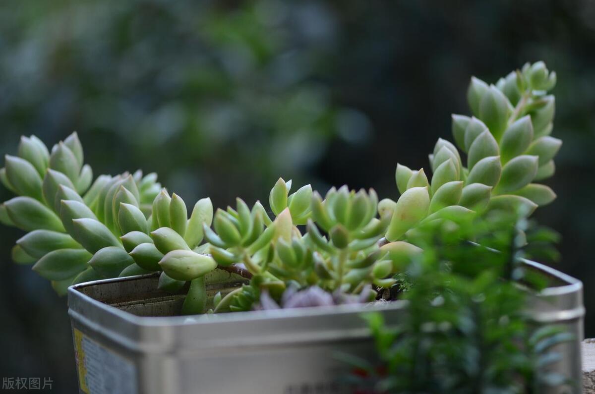 为人处世最怕碰到会算计的人,怎么对待算计你的人