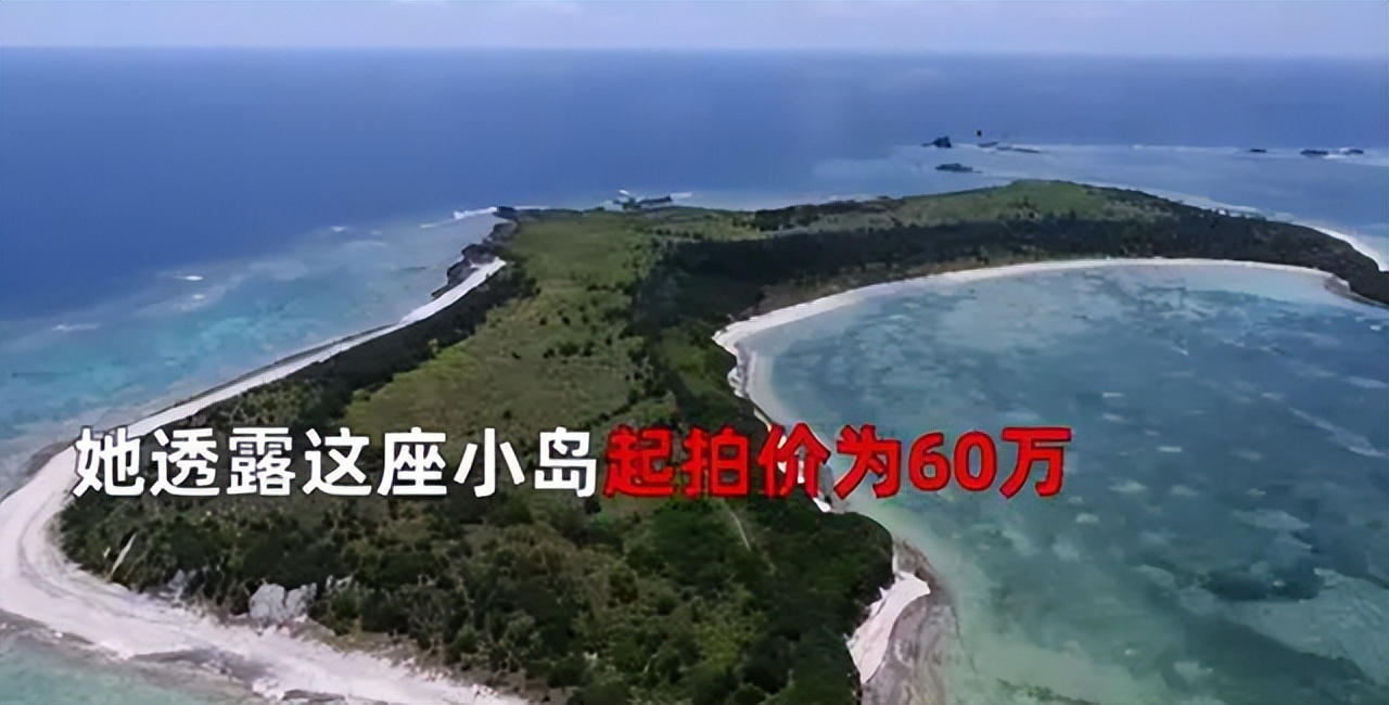 女子买下70万平日本小岛原视频,女子买下70万平日本小岛真的吗