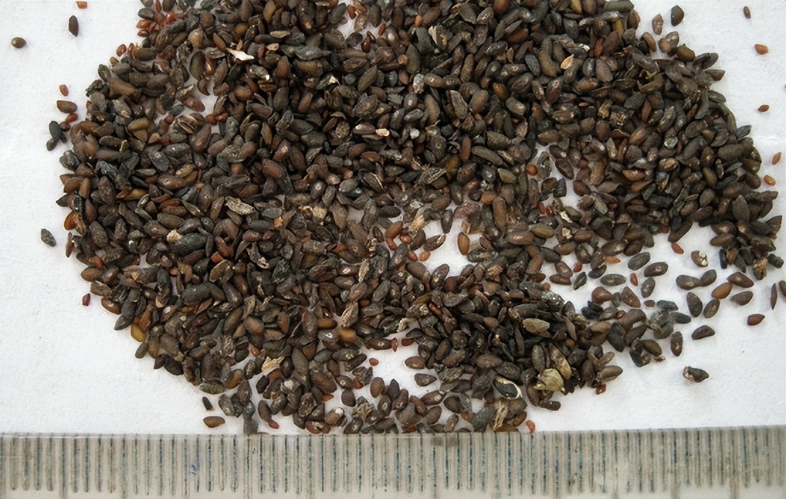 带你认识识别各种车,识别车前子