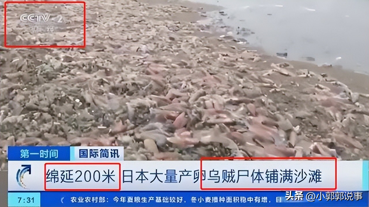 太仓购买日本核辐射食品,江苏太仓查出辐射海产品