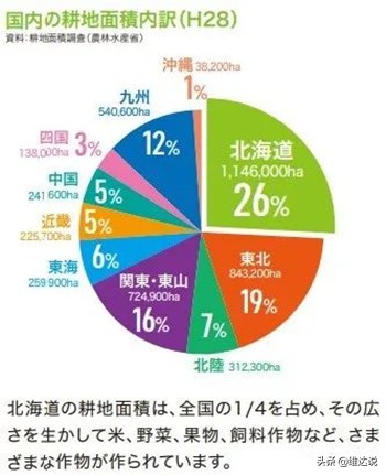 真正的日本北海道,北海道最近是空城吗