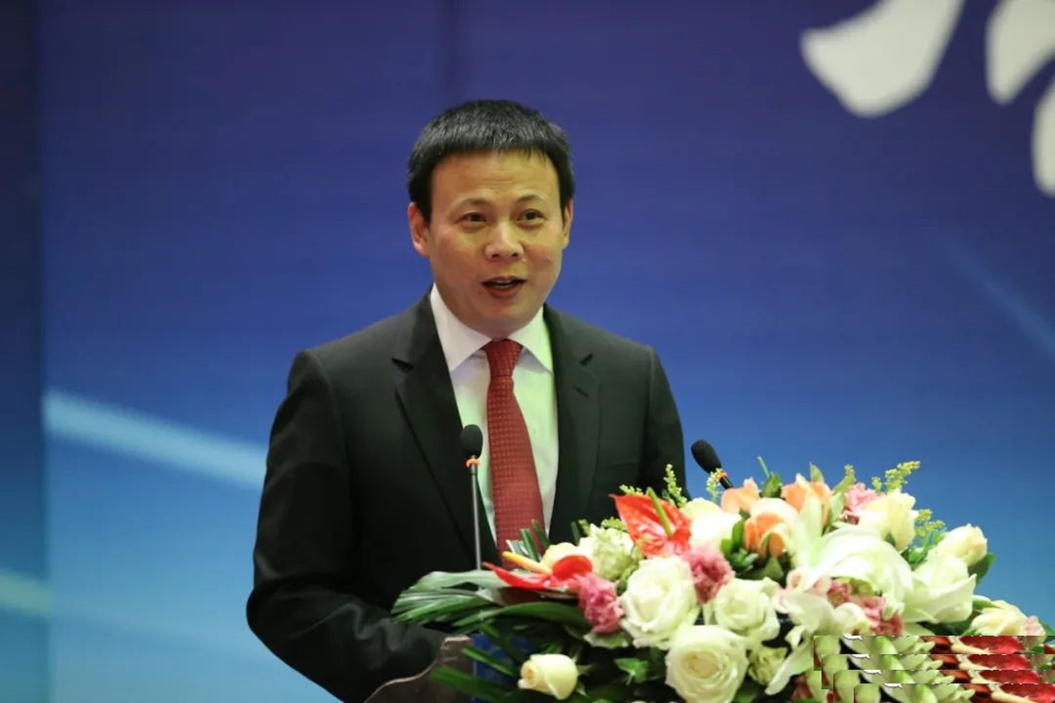 2017湖北民企百强宜昌占几家,全国大黑马城市宜昌