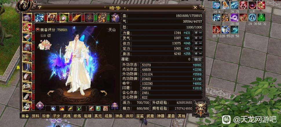 天龙八部国服第一天山属性面板,天龙八部天山属性面板最好看