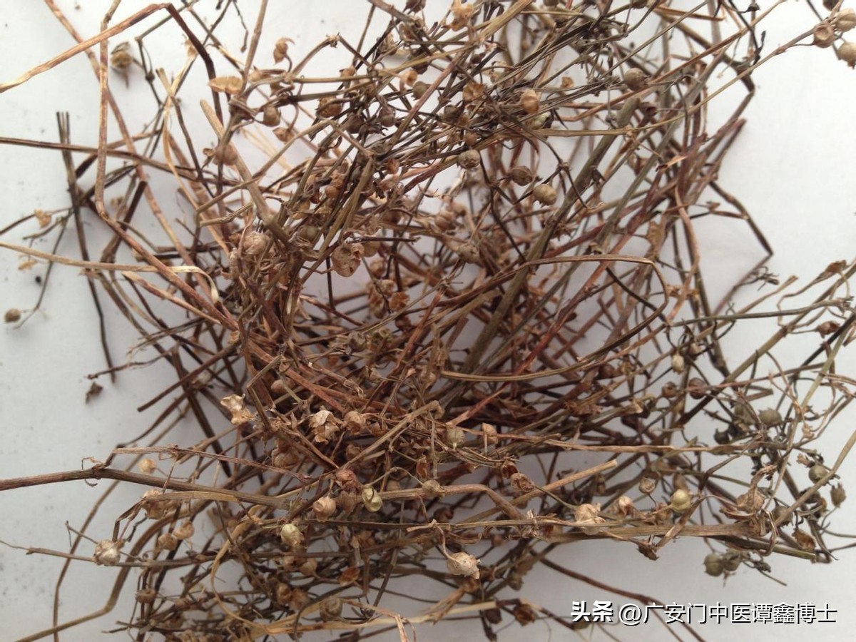 治疗前列腺癌骨转移验方,前列腺癌转移中药药方