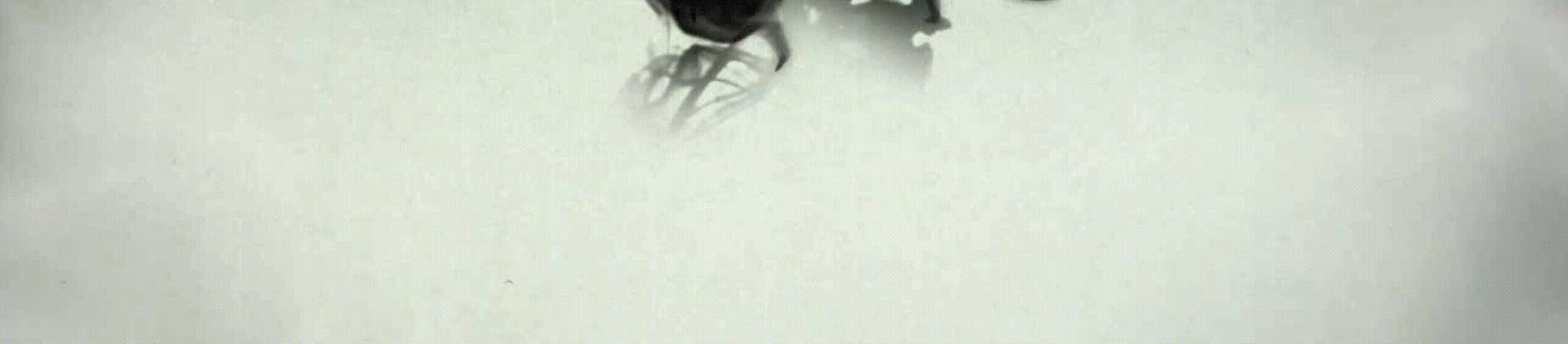 李易峰的真实现状,李易峰现在近况问题分析