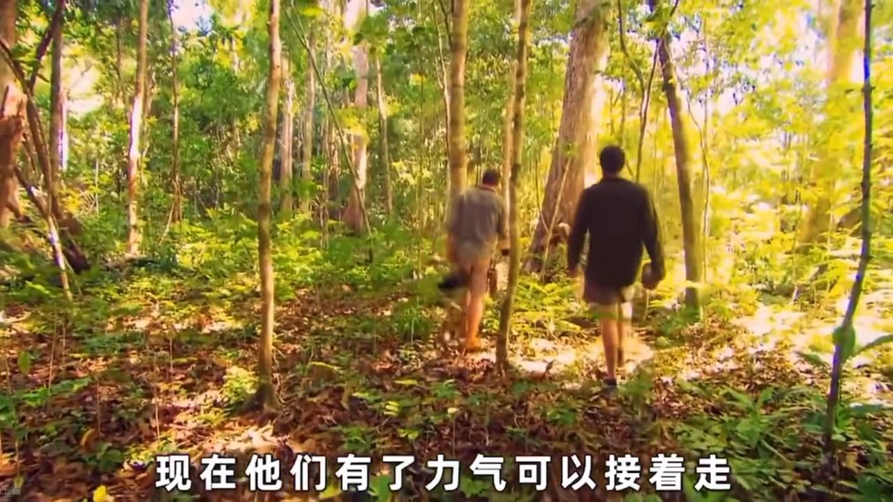 我在马来西亚的普拉提瓜岛，找到了一个清澈的小水坑