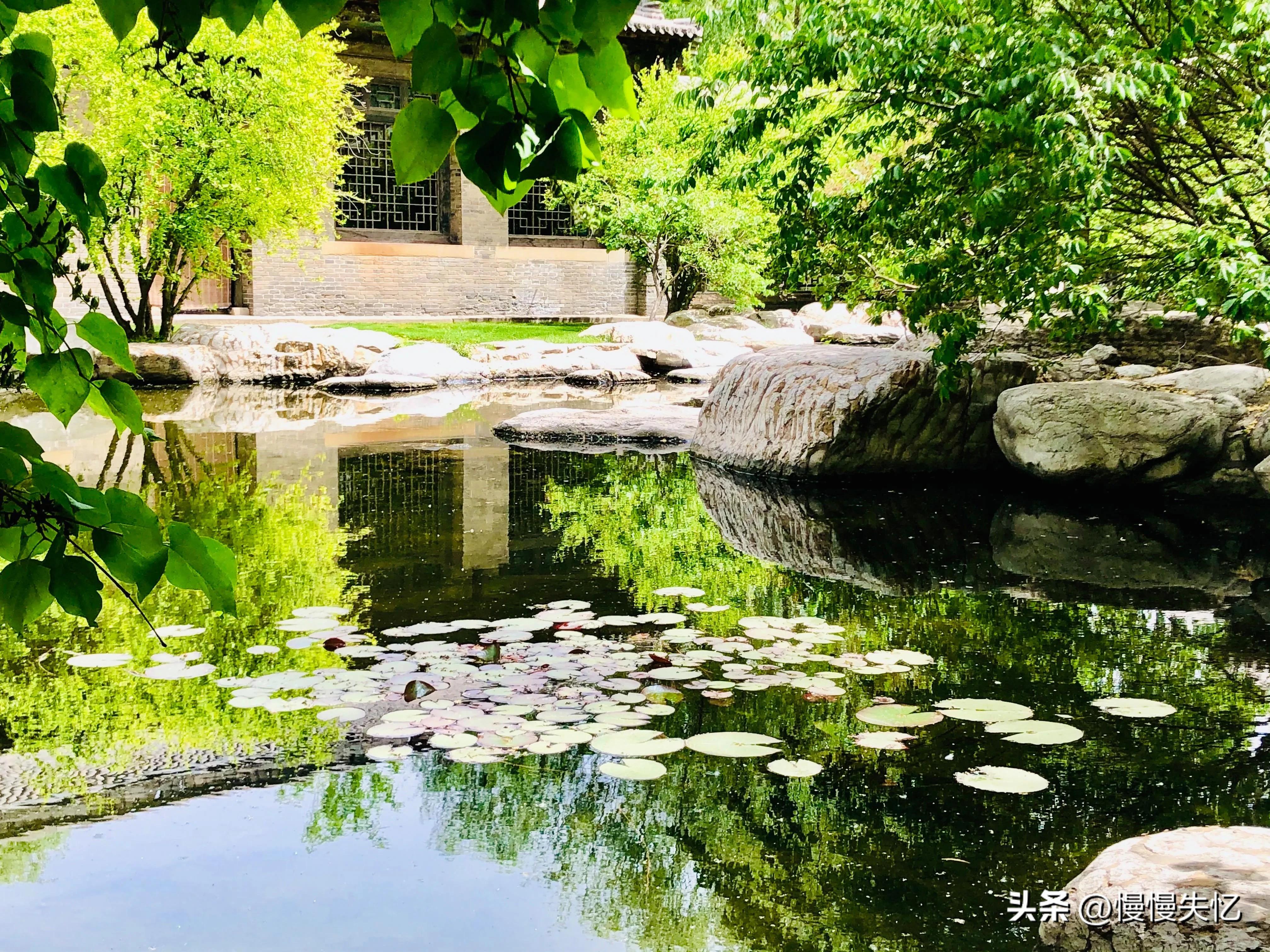关于初夏美好的诗词佳句,初夏一抹嫣红沐浴暖阳诗词