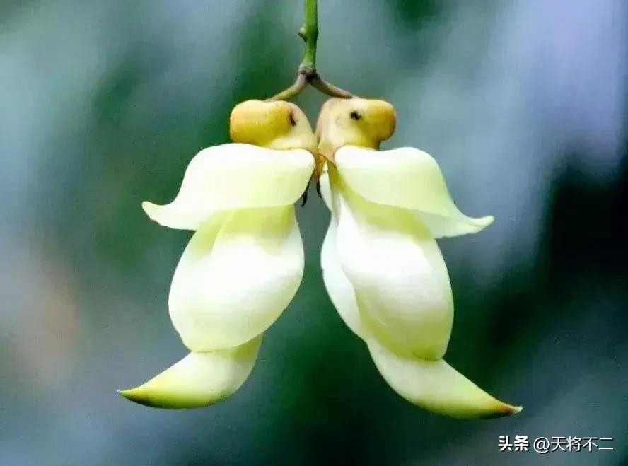 历史第一支派克钢笔,一支钢笔的故事全文