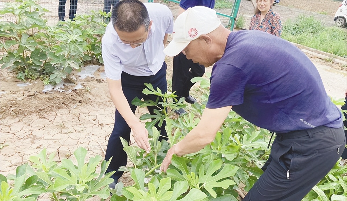 山东药品食品职业学院积极发挥专业优势、人才优势为乡村振兴觅“良方”校村结对聚合力共建共议促振兴