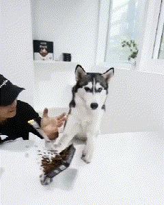 最美丈母娘火了女婿表示也很无奈,最美丈母娘火了女婿表示很无奈