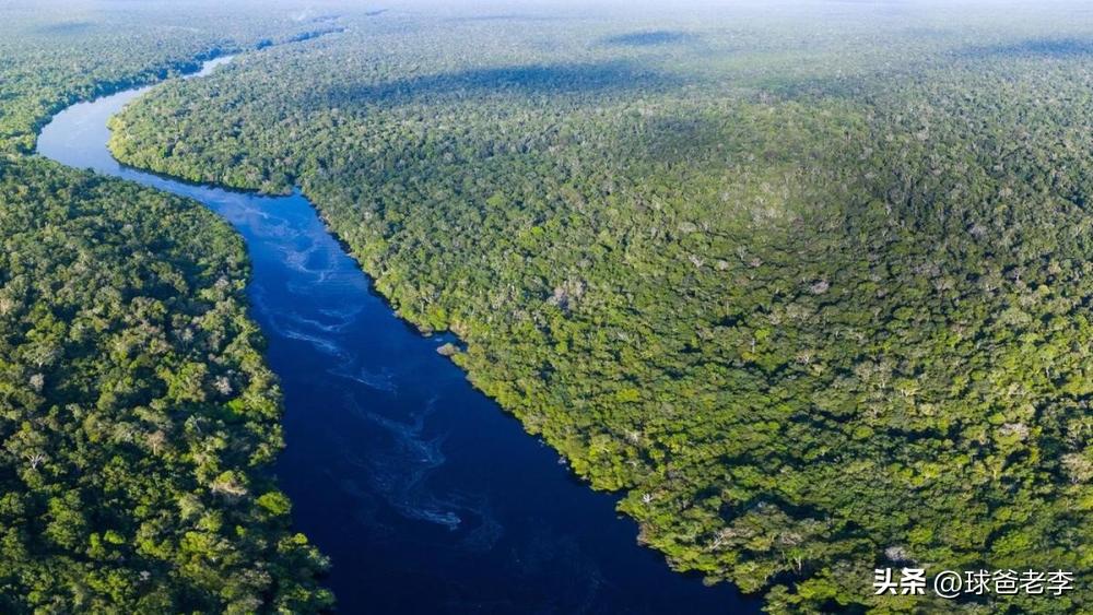 巴西总统来访,巴西总统访华巴西人民怎么看待