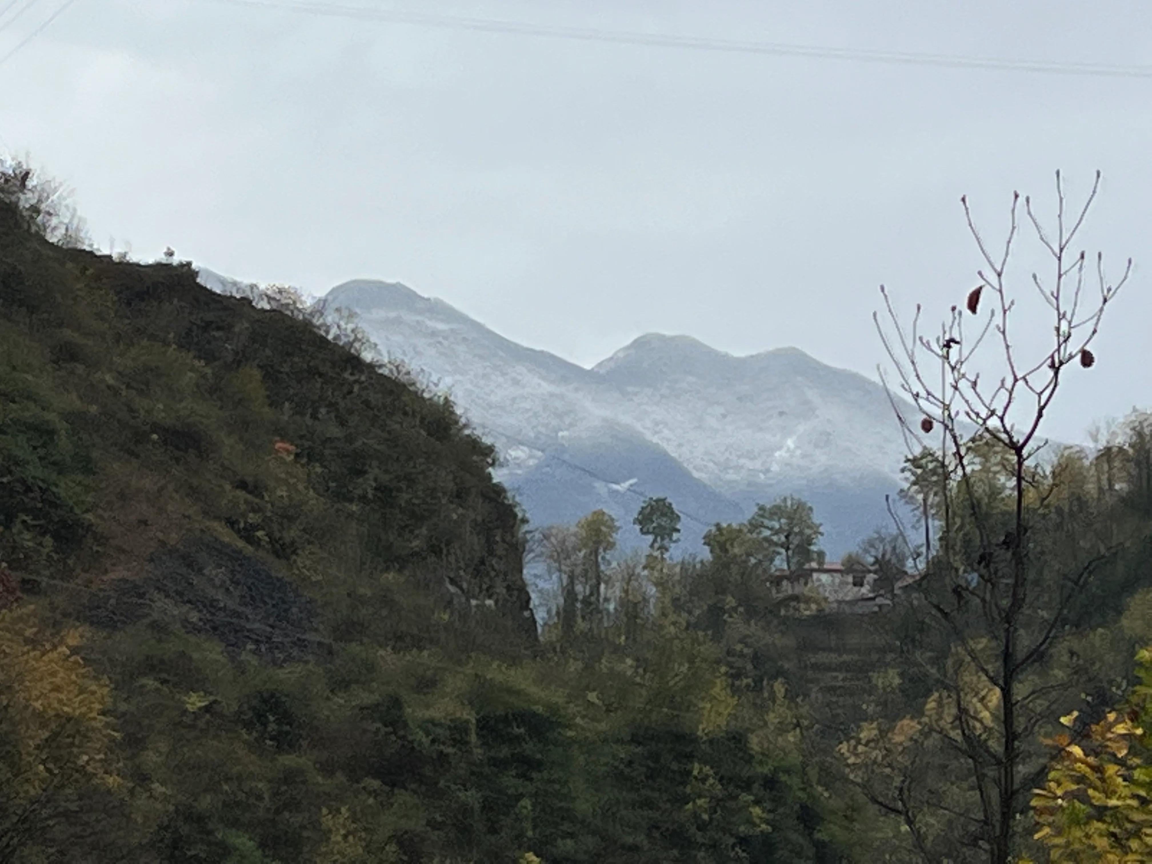 初冬的爱情感悟,初冬雪景的感悟