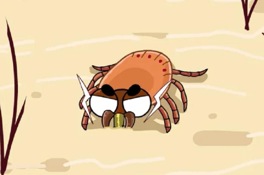 蜱虫会整个钻入身体吗,吸血蜱虫究竟有多可怕