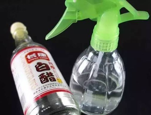 实用12个生活小技巧值得收藏,15个实用生活小技巧学起来不后悔