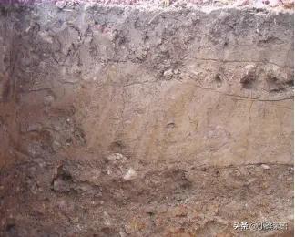 《寻味顺德》校本课程第二课