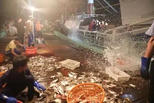 一月份连云港还有新鲜的海鲜吗,相约开海季一大波诱人海鲜来袭