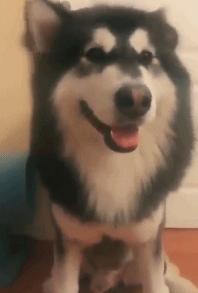 小蛇化身美杜莎,小蛇瞬间变成美杜莎