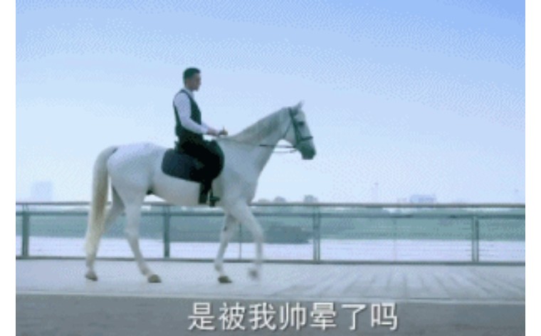 鐧介┈鐜嬪瓙涓嶄竴瀹氶獞鐧介┈鑻辫,鍜岀櫧椹帇瀛愮浉鍏崇殑鑻辫璇嶆眹