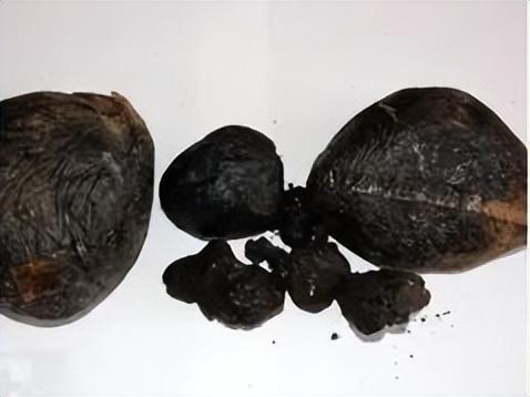 普及禁毒知识提升禁毒意识,禁毒宣传月禁毒防毒知识小课堂