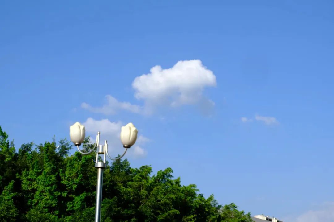 骞垮窞鍩庡缓鑱屼笟瀛﹂櫌鍙傝,骞垮窞鍩庡缓鑱屼笟瀛﹂櫌淇℃伅宸ョ▼