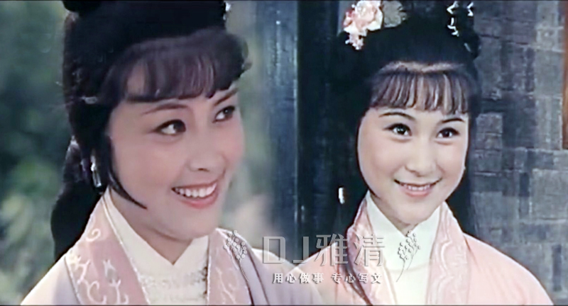 花开半夏实力派演员有哪些人,风吹半夏演员今昔对比盘点