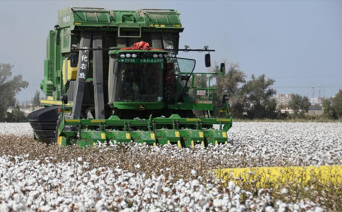 澳大利亚棉花分布在哪,全球棉花亩产最高的国家