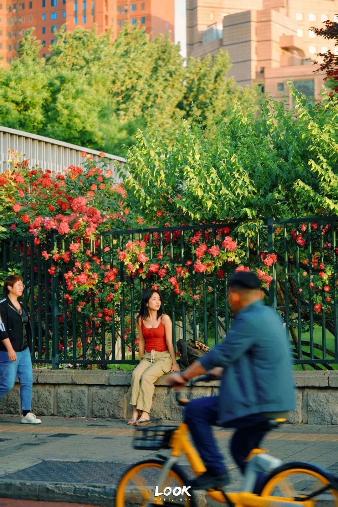 北京居庸关花海栈道,北京四季花海景区
