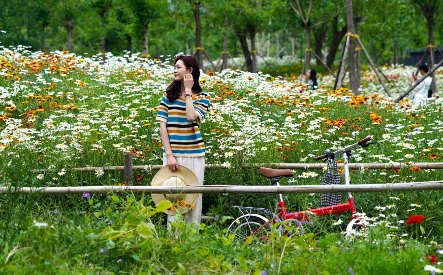 10月份的郑州莫奈花园,郑州现实版的莫奈花园