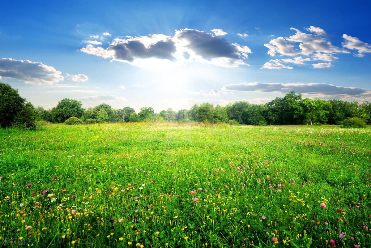 永久退出土地每亩到底补多少钱,21年土地永久退出一亩补多少钱