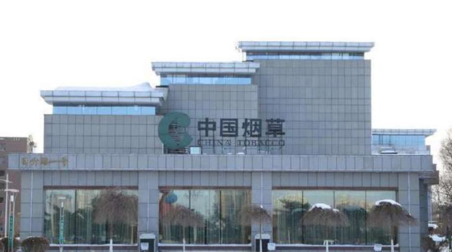 中国烟草公司养活多少人,中国烟草公司养活多少吸烟人