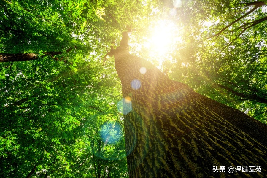 发生中暑如何急救,高温中暑急救教学