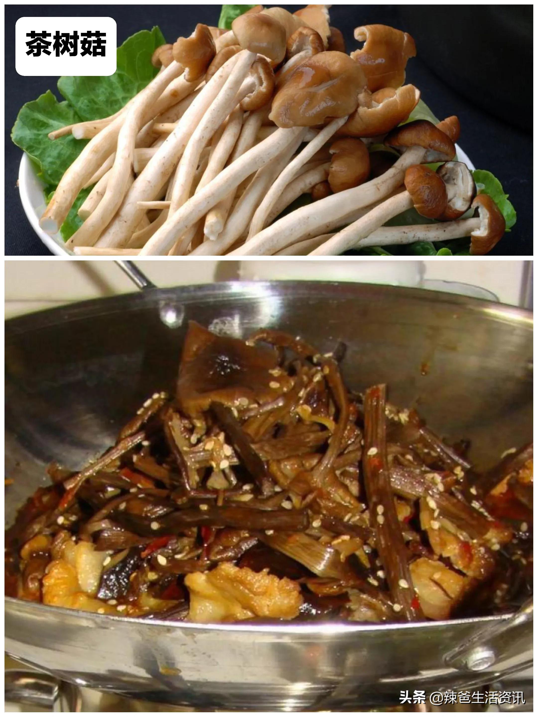 100种食用蘑菇大全,蘑菇的12种最佳吃法