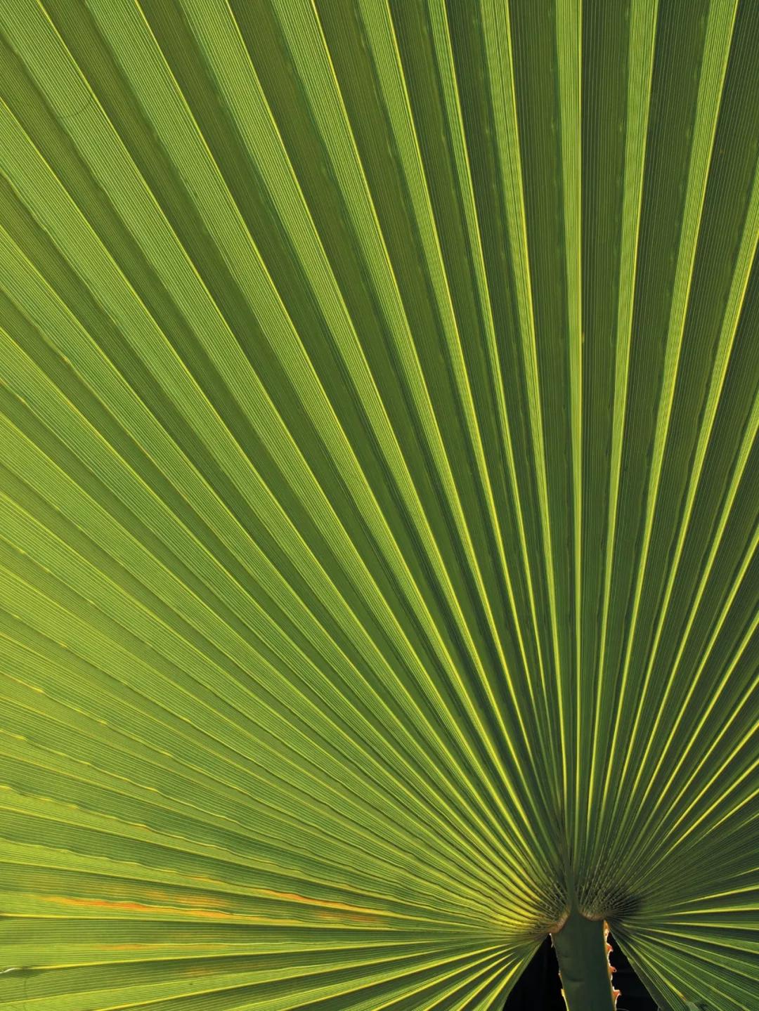 8一张好照片的六个要素,一张好照片最基本元素是什么