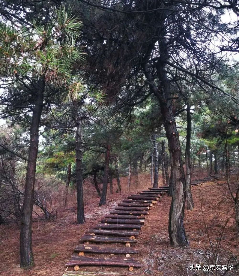 晋城的九重天阙