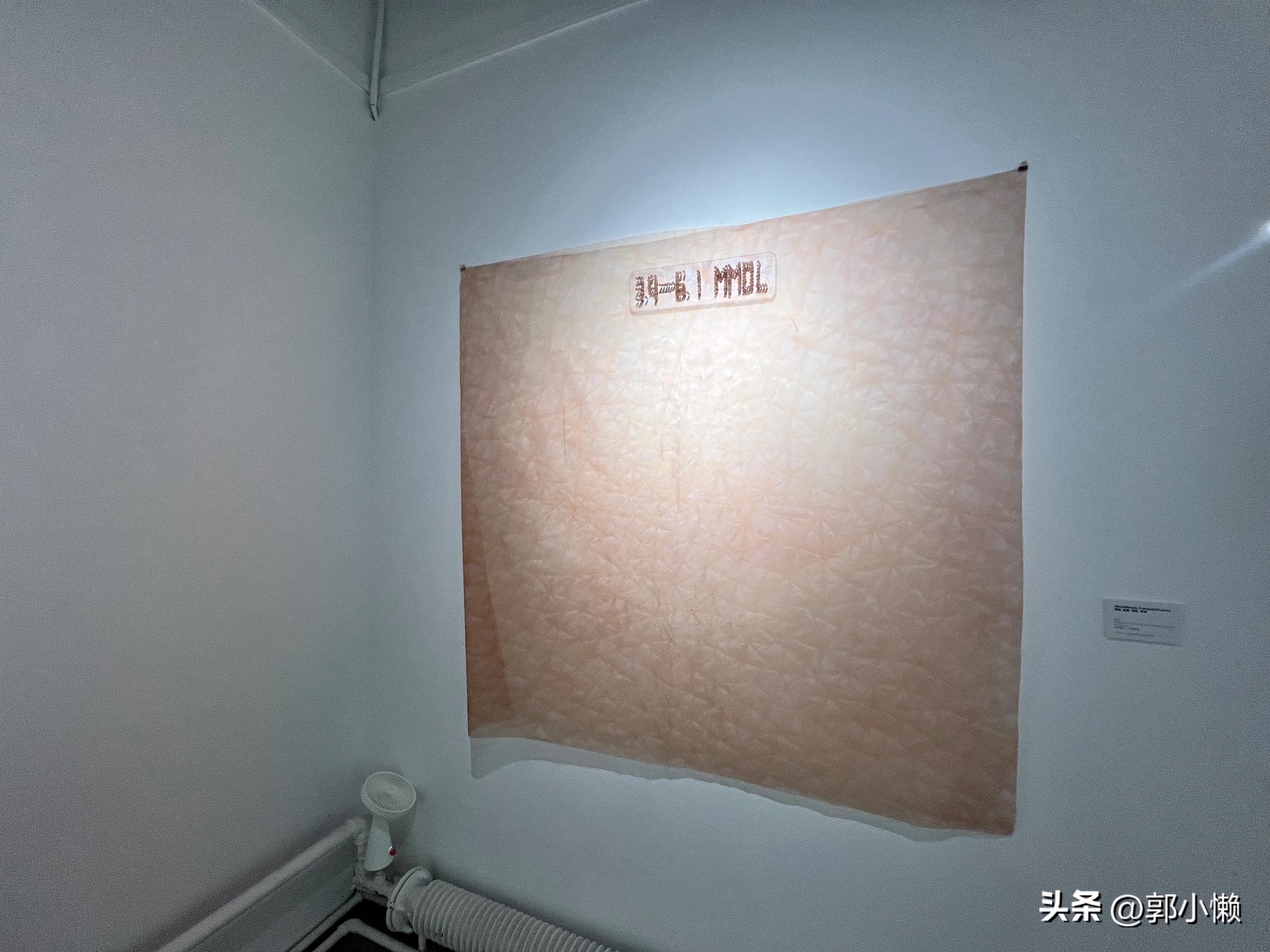 瞳距——18岁超年轻女艺术家桂茜榕北京个展