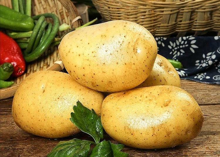 土豆：世界餐桌上的多面明珠