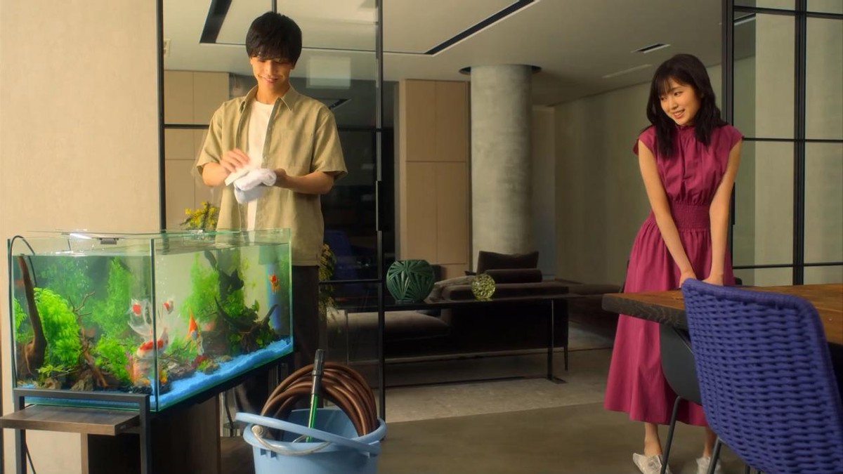 2019年10部人气高分日剧推荐,2019十部公认最好看的日剧爱情