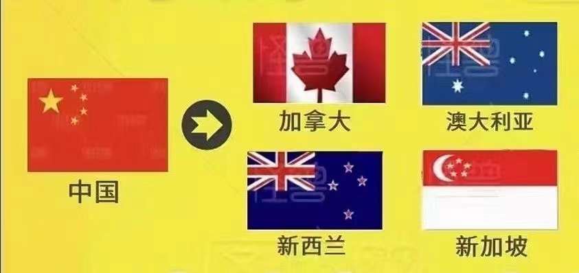 中国到澳大利亚海运费用,手把手教你计算澳大利亚海运费用