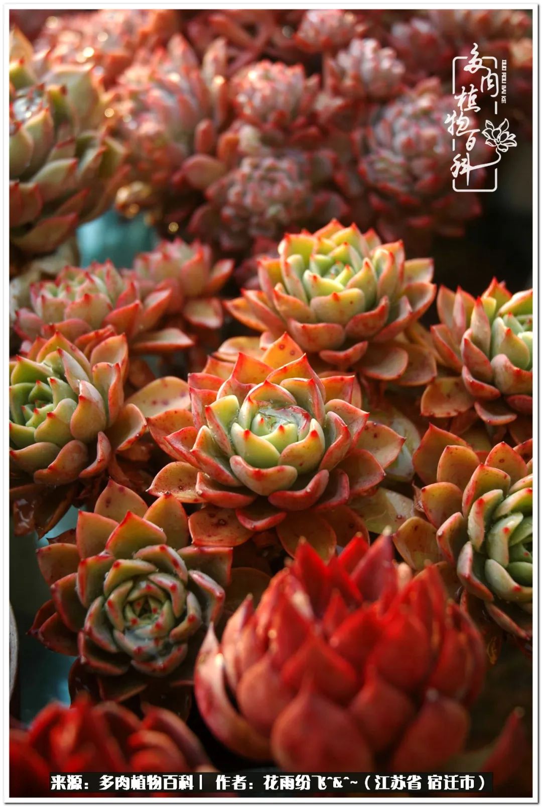 快乐的童年时光视频,回味快乐的童年美好的时光